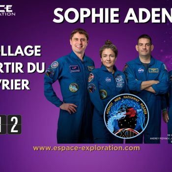 sophie-2026-01-29 - 2